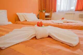 Апарт-отели Apart Hotel Flora Residence Daisy Боровец Номер-студио-3