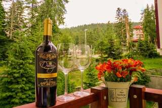 Апарт-отели Apart Hotel Flora Residence Daisy Боровец Номер-студио-8