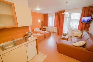 Апарт-отели Apart Hotel Flora Residence Daisy Боровец Номер-студио-14